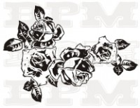 /album/fotogaleria-kvety-stromy/kvety-53-jpg/